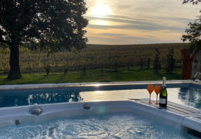 Best view, pool and spa on the Champagne vineyard